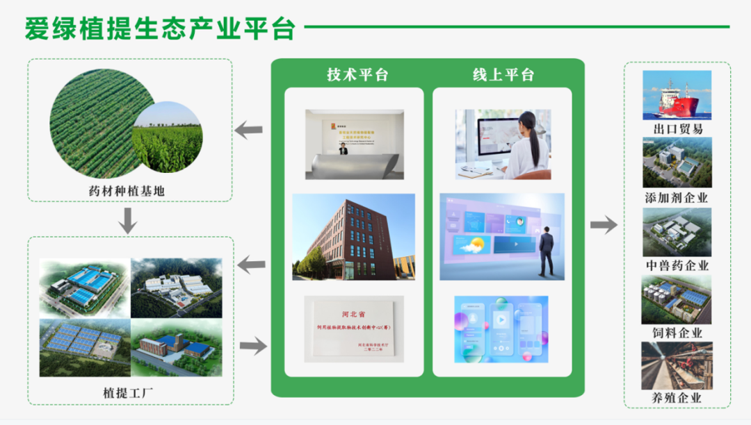 乐虎国际·lehu(中国)最新官方网站